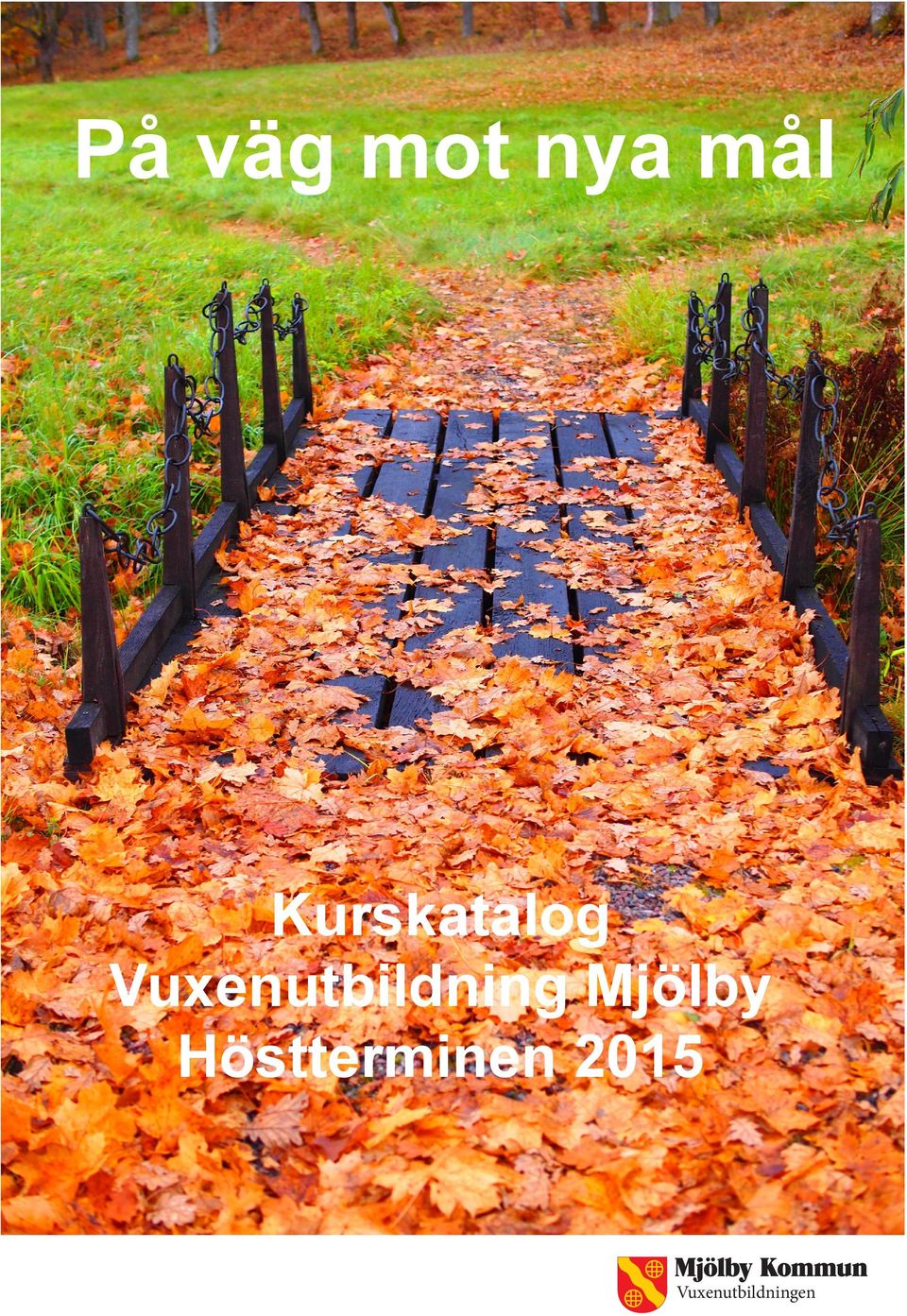 Vuxenutbildning Mjölby