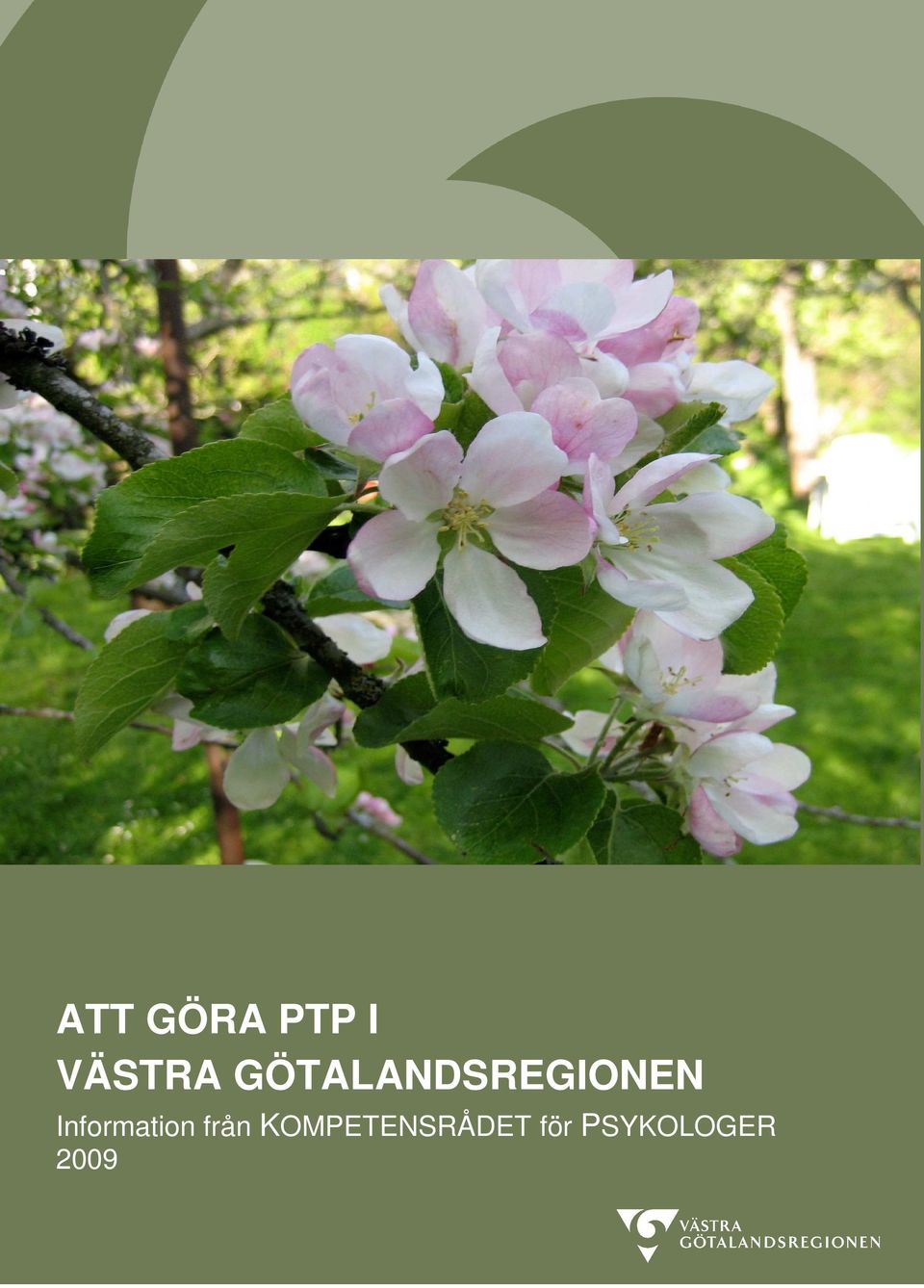 Information från