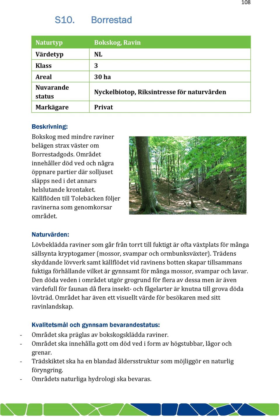 väster om Borrestadgods. Området innehåller död ved och några öppnare partier där solljuset släpps ned i det annars helslutande krontaket.