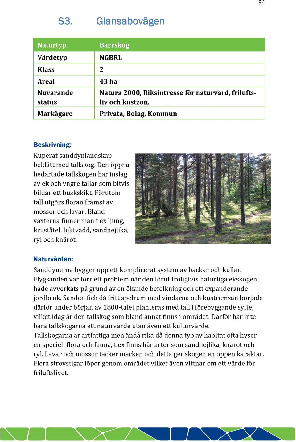 Förutom tall utgörs floran främst av mossor och lavar. Bland växterna finner man t ex ljung, kruståtel, luktvädd, sandnejlika, ryl och knärot.