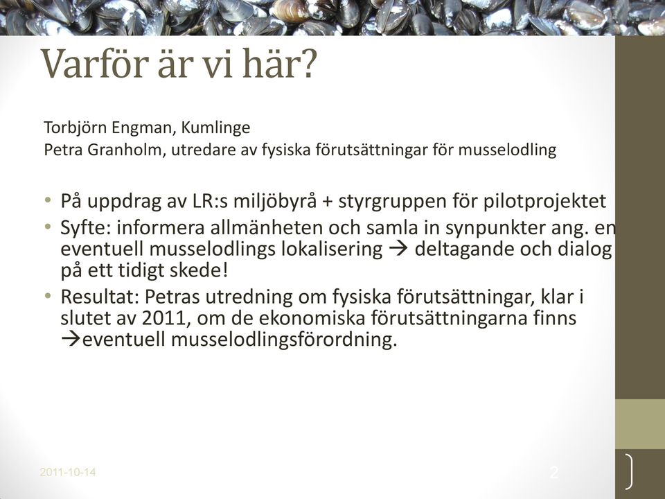 miljöbyrå + styrgruppen för pilotprojektet Syfte: informera allmänheten och samla in synpunkter ang.