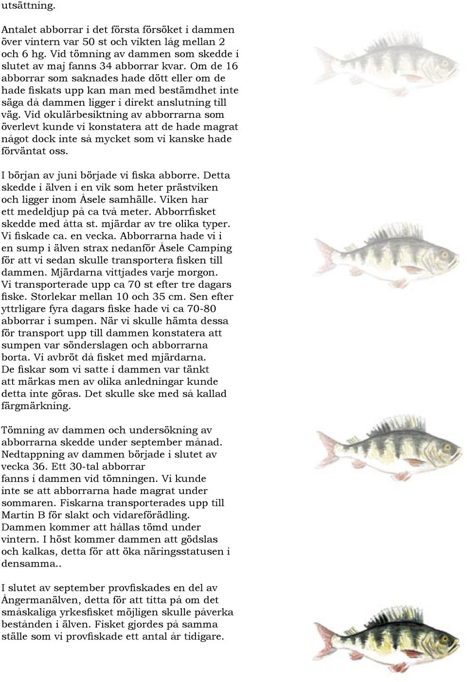 Vid okulärbesiktning av abborrarna som överlevt kunde vi konstatera att de hade magrat något dock inte så mycket som vi kanske hade förväntat oss. I början av juni började vi fiska abborre.