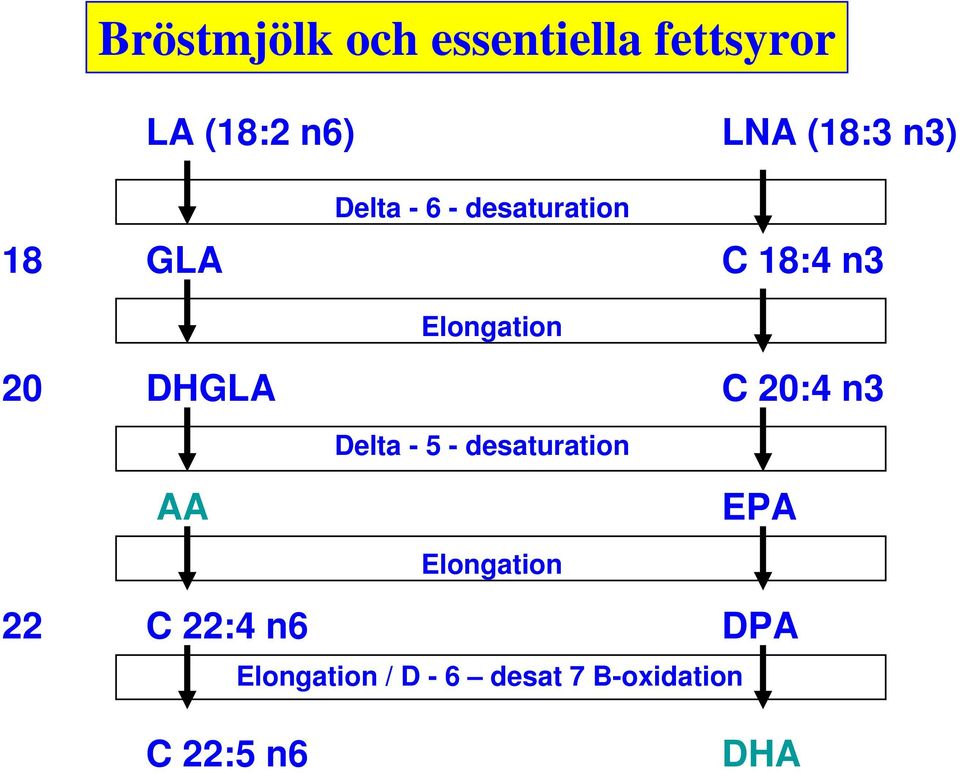 Delta - 5 - desaturation Elongation C 18:4 n3 C 20:4 n3 EPA