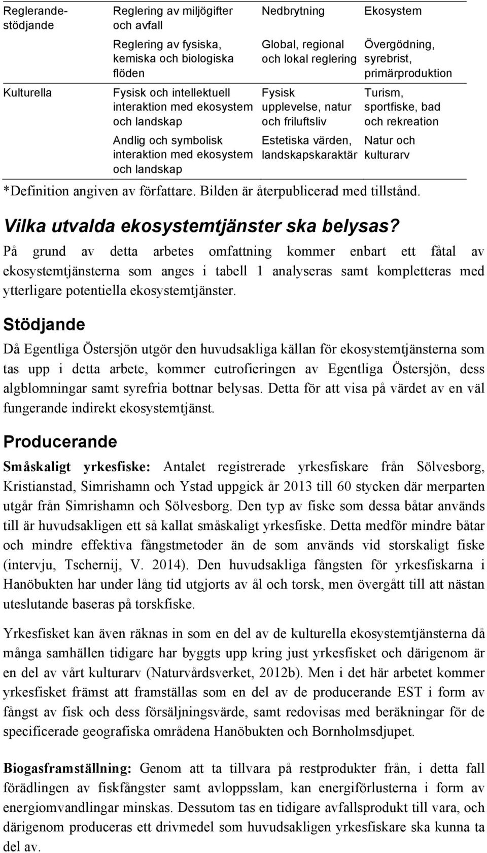 syrebrist, primärproduktion Turism, sportfiske, bad och rekreation Natur och kulturarv *Definition angiven av författare. Bilden är återpublicerad med tillstånd.