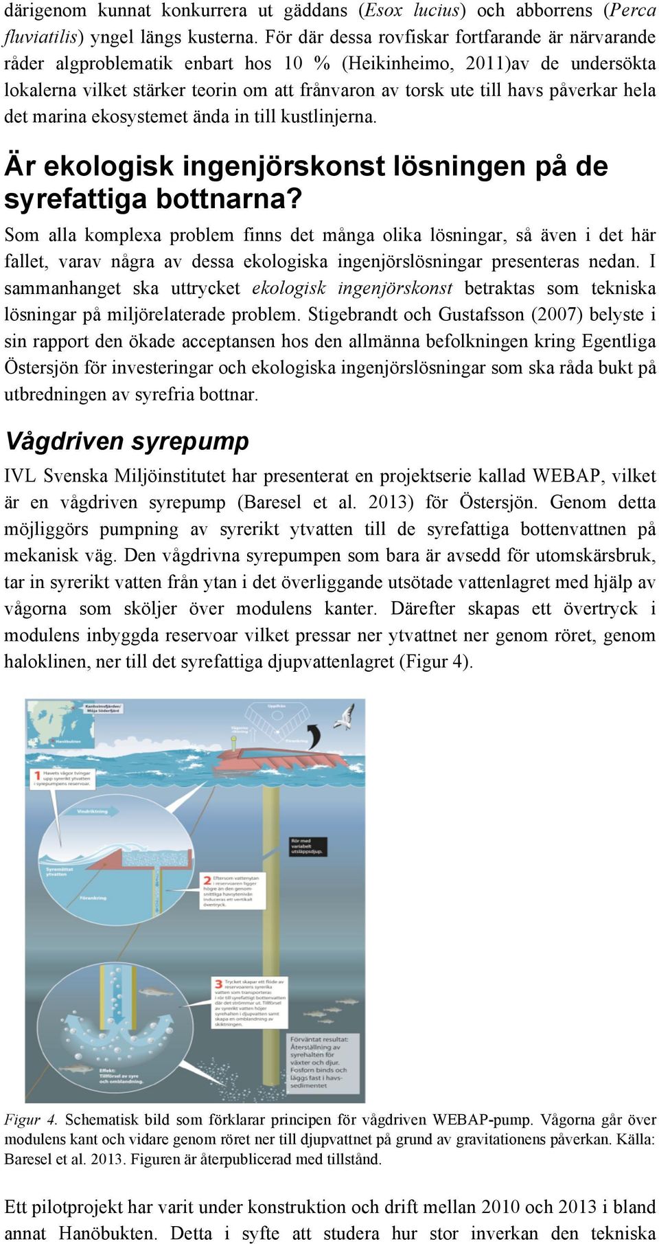 påverkar hela det marina ekosystemet ända in till kustlinjerna. Är ekologisk ingenjörskonst lösningen på de syrefattiga bottnarna?