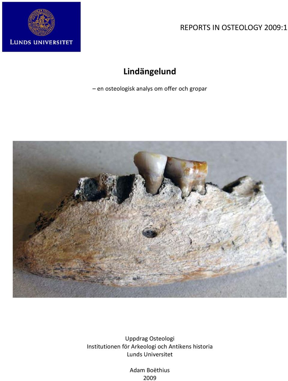 Osteologi Institutionen för Arkeologi och