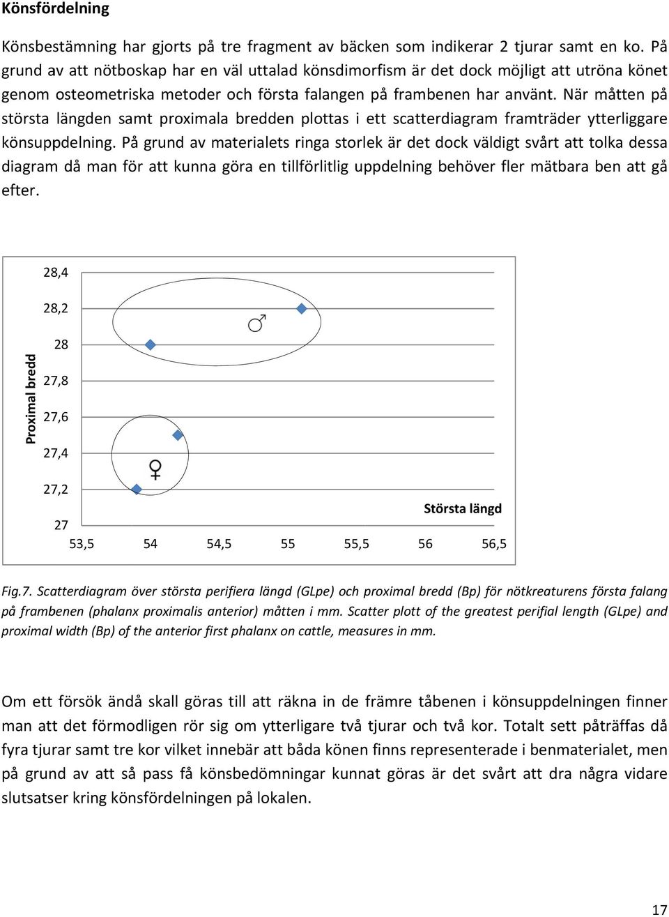 När måtten på största längden samt proximala bredden plottas i ett scatterdiagram framträder ytterliggare könsuppdelning.