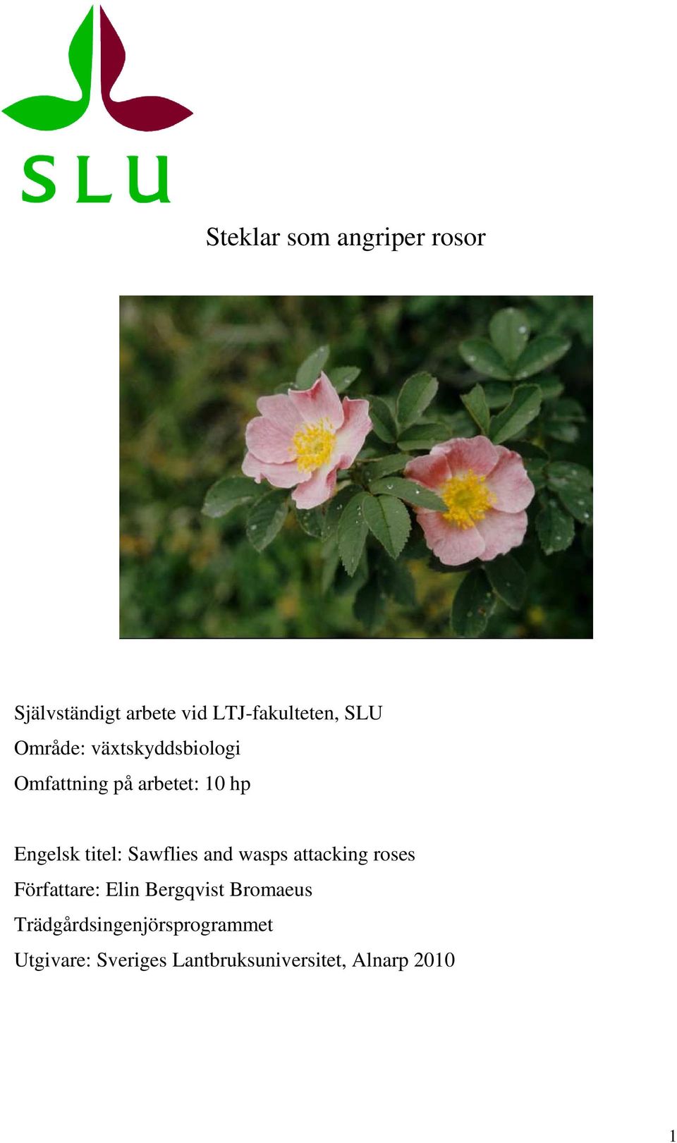 Sawflies and wasps attacking roses Författare: Elin Bergqvist Bromaeus