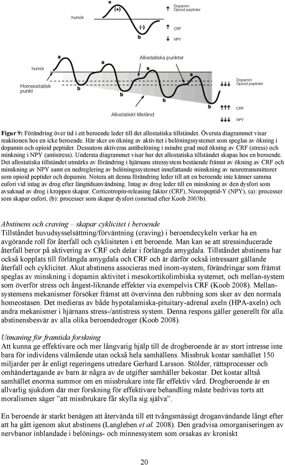 Dessutom aktiveras antibelöning i mindre grad med ökning av CRF (stress) och minkning i NPY (antistress). Understa diagrammet visar hur det allostatiska tillståndet skapas hos en beroende.