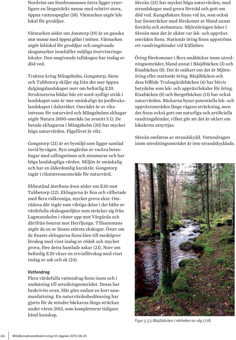 Den omgivande tallskogen har inslag av död ved. Trakten kring Mängsholm, Gongstorp, Siene och Tubbetorp skiljer sig från det mer öppna dalgångslandskapet norr om befintlig E20.