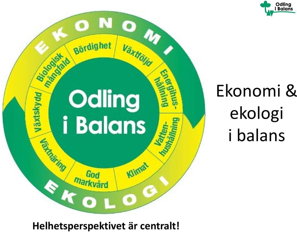 balans