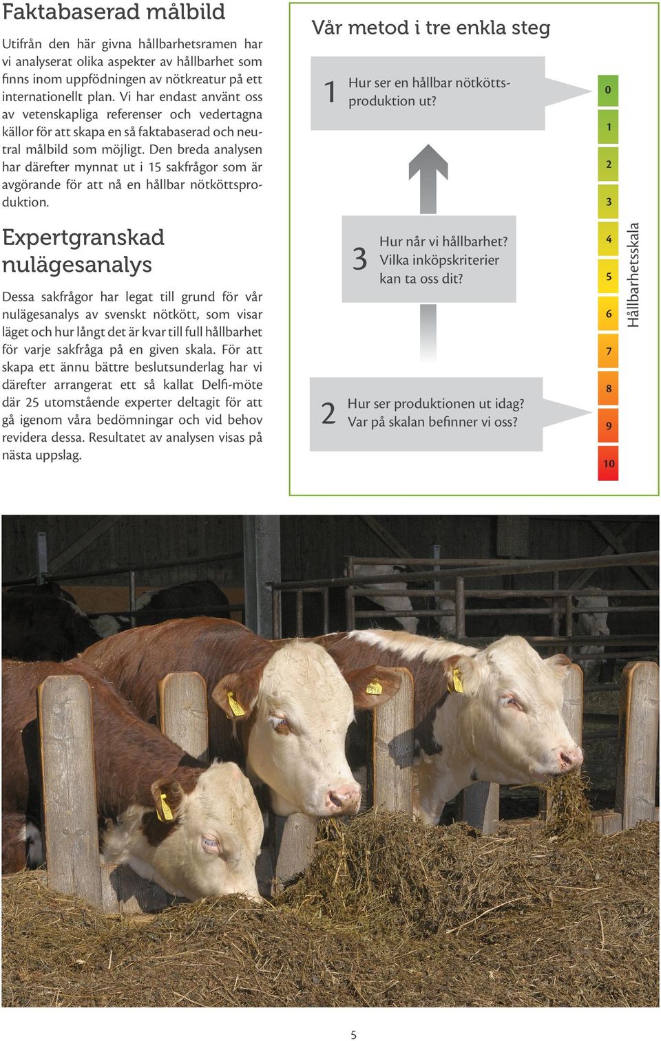 Den breda analysen har därefter mynnat ut i 15 sakfrågor som är avgörande för att nå en hållbar nötköttsproduktion.