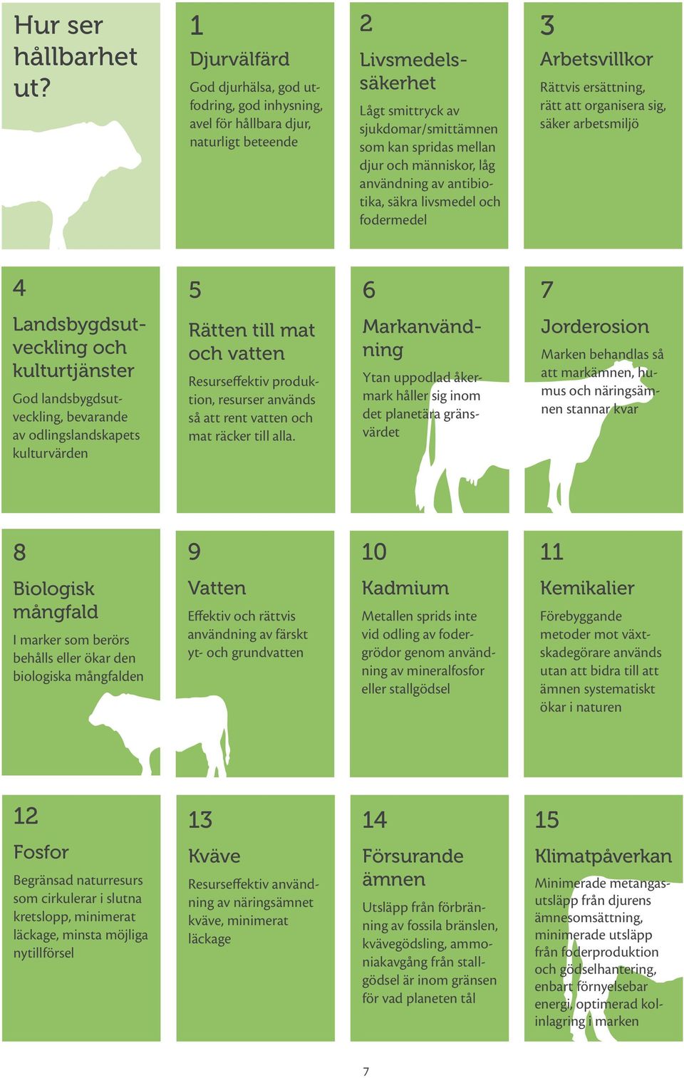 människor, låg användning av antibiotika, säkra livsmedel och fodermedel 3 Arbetsvillkor Rättvis ersättning, rätt att organisera sig, säker arbetsmiljö 4 5 6 7 Landsbygdsutveckling och kulturtjänster