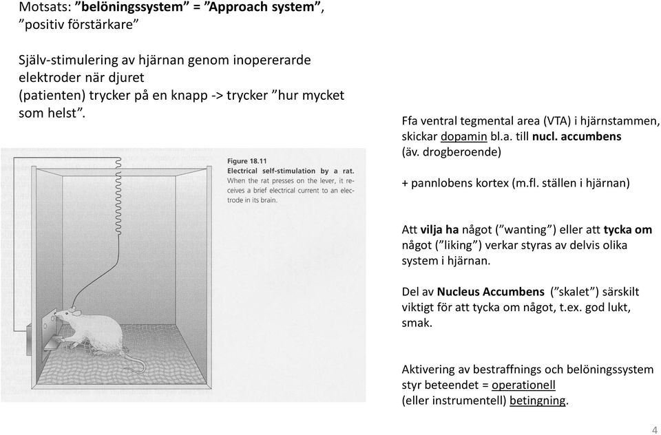 ställen i hjärnan) Att vilja ha något ( wanting ) eller att tycka om något ( liking ) verkar styras av delvis olika system i hjärnan.