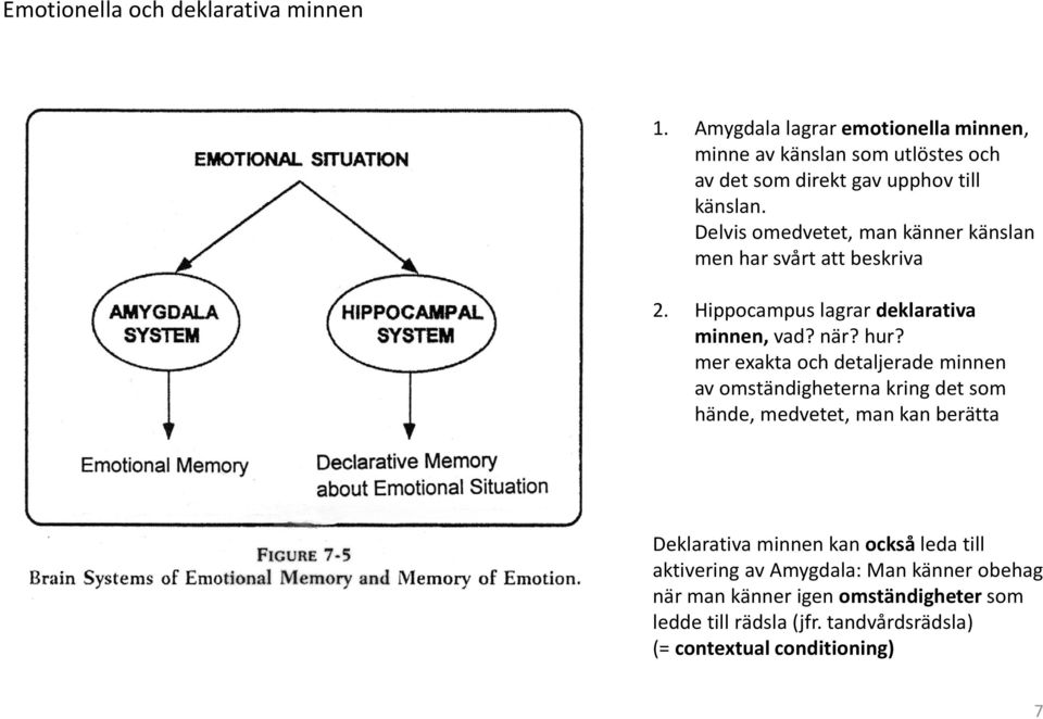 Delvis omedvetet, man känner känslan men har svårt att beskriva 2. Hippocampus lagrar deklarativa minnen, vad? när? hur?