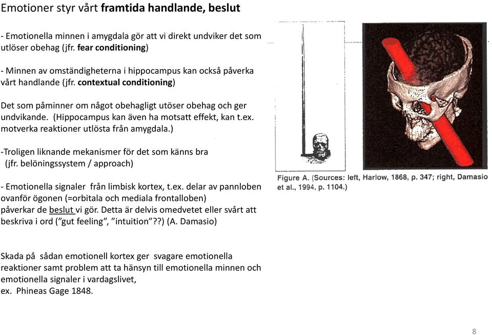 (Hippocampus kan även ha motsatt effekt, kan t.ex. motverka reaktioner utlösta från amygdala.) -Troligen liknande mekanismer för det som känns bra (jfr.