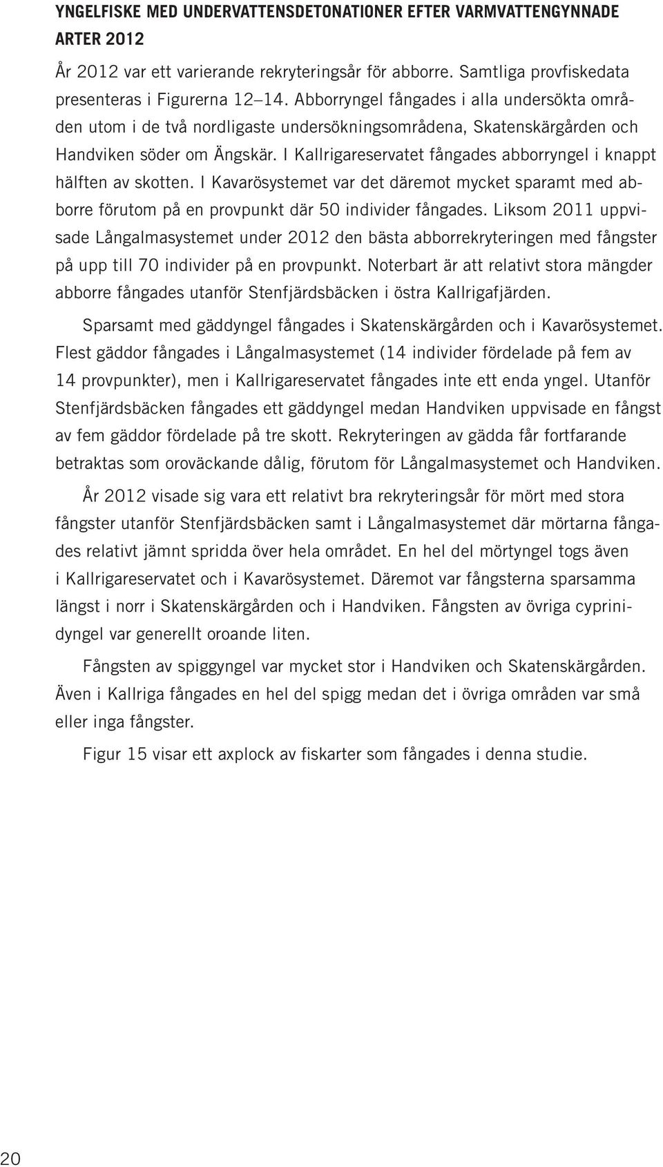 I Kallrigareservatet fångades abborryngel i knappt hälften av skotten. I Kavarösystemet var det däremot mycket sparamt med abborre förutom på en provpunkt där 50 individer fångades.