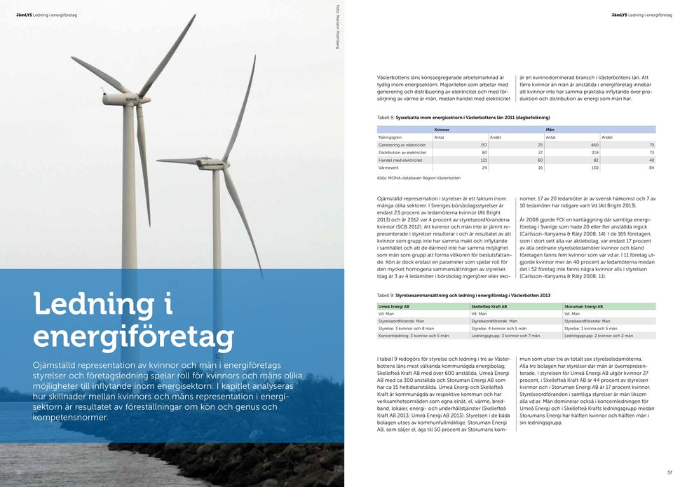 Att färre kvinnor än män är anställda i energiföretag innebär att kvinnor inte har samma praktiska inflytande över produktion och distribution av energi som män har.