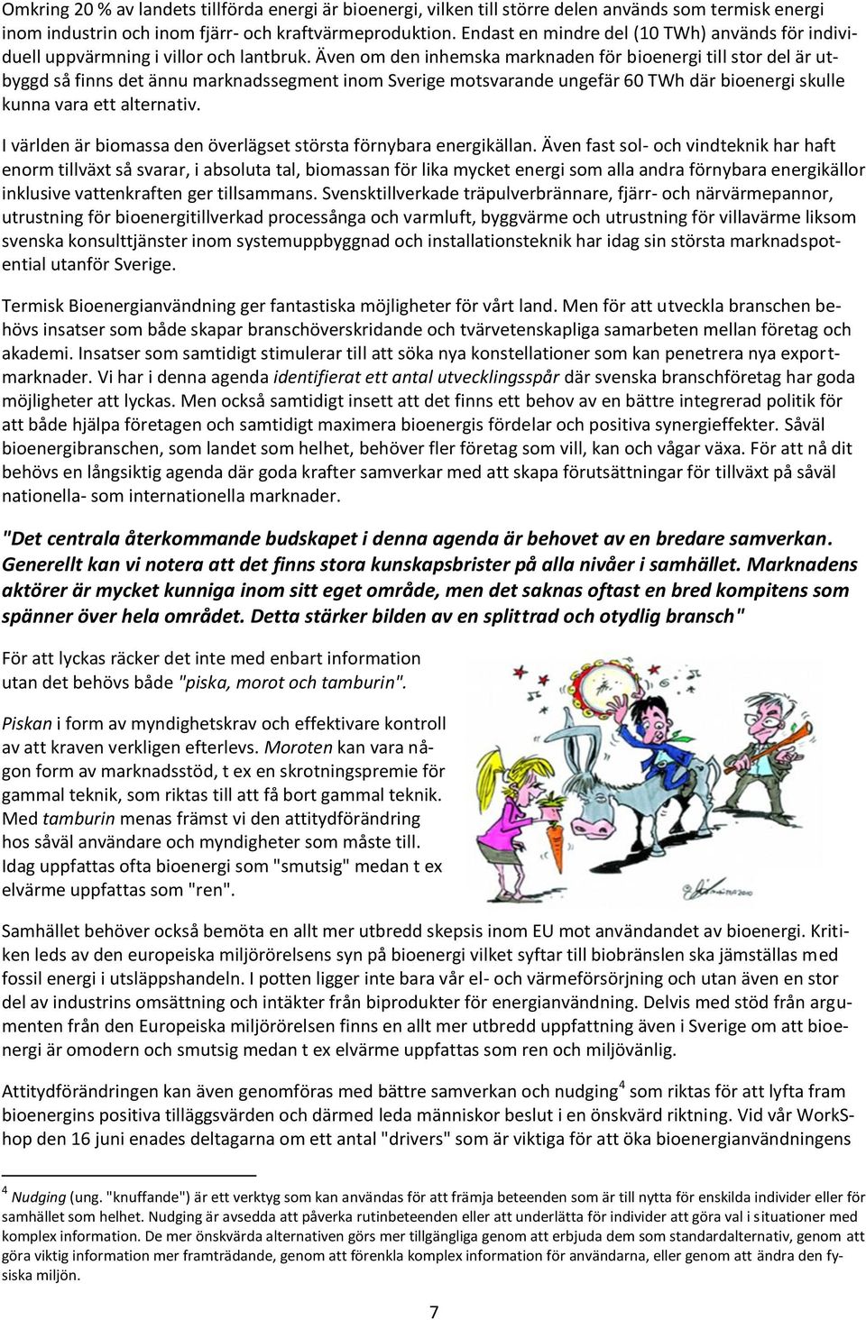 Även om den inhemska marknaden för bioenergi till stor del är utbyggd så finns det ännu marknadssegment inom Sverige motsvarande ungefär 60 TWh där bioenergi skulle kunna vara ett alternativ.