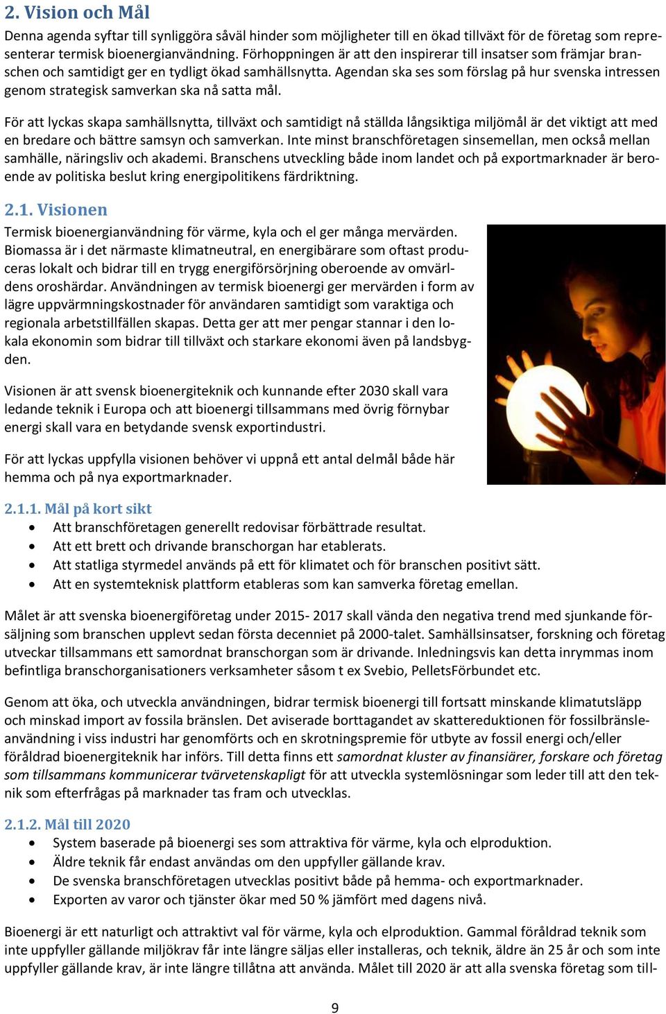 Agendan ska ses som förslag på hur svenska intressen genom strategisk samverkan ska nå satta mål.