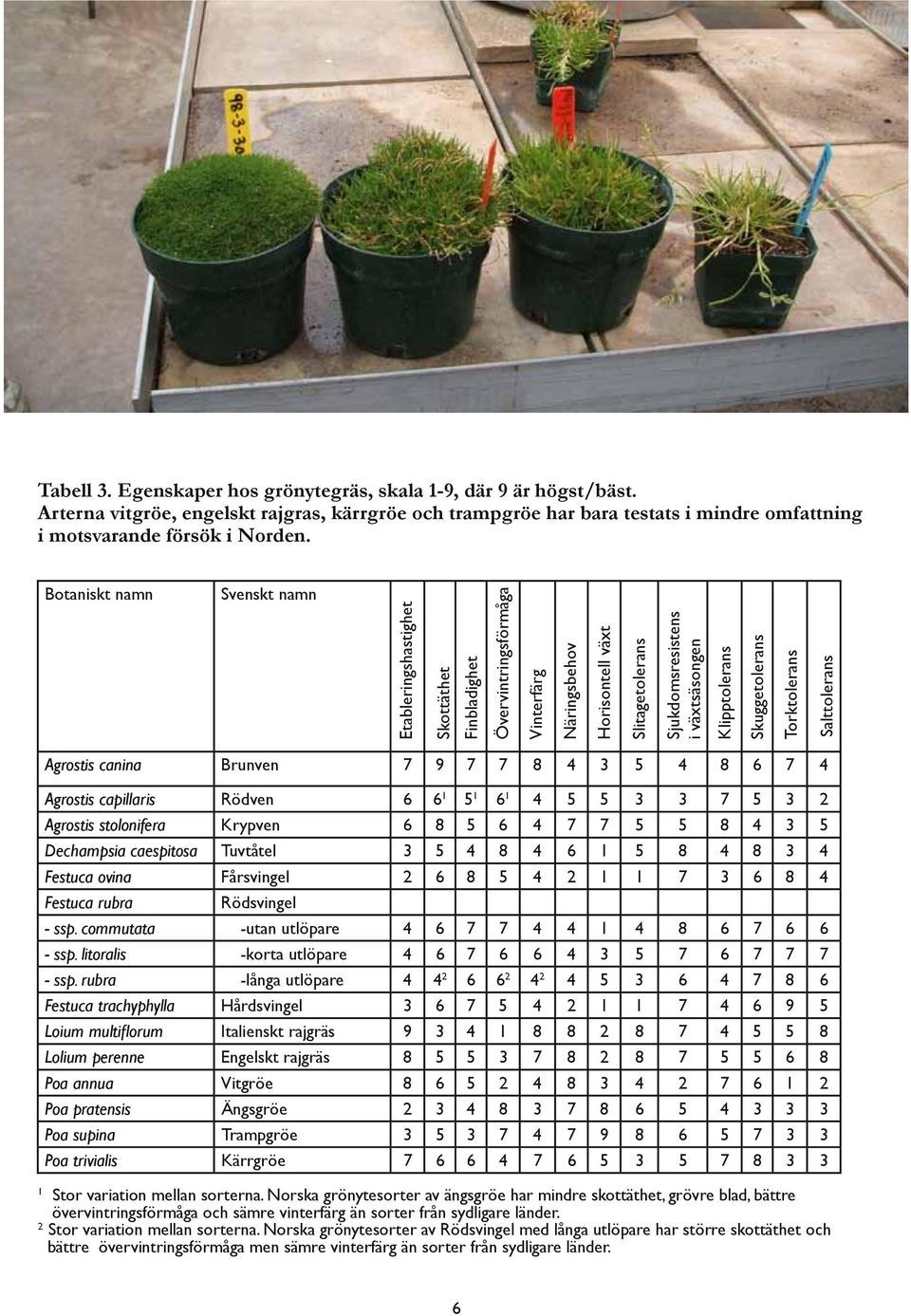 Skuggetolerans Torktolerans Salttolerans Agrostis canina Brunven 7 9 7 7 8 4 3 5 4 8 6 7 4 Agrostis capillaris Rödven 6 6 1 5 1 6 1 4 5 5 3 3 7 5 3 2 Agrostis stolonifera Krypven 6 8 5 6 4 7 7 5 5 8