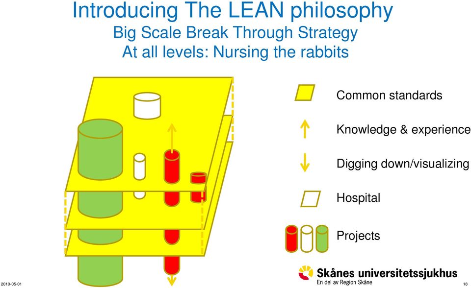 the rabbits Common standards Knowledge &