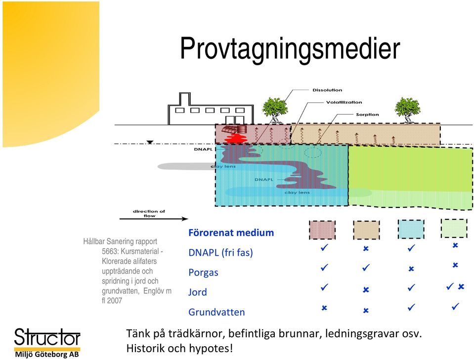 Englöv m fl 2007 Förorenat medium DNAPL (fri fas) Porgas Jord