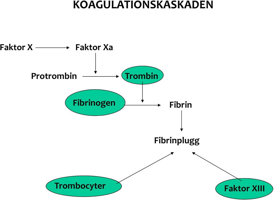 Trombin Fibrinogen Fibrin
