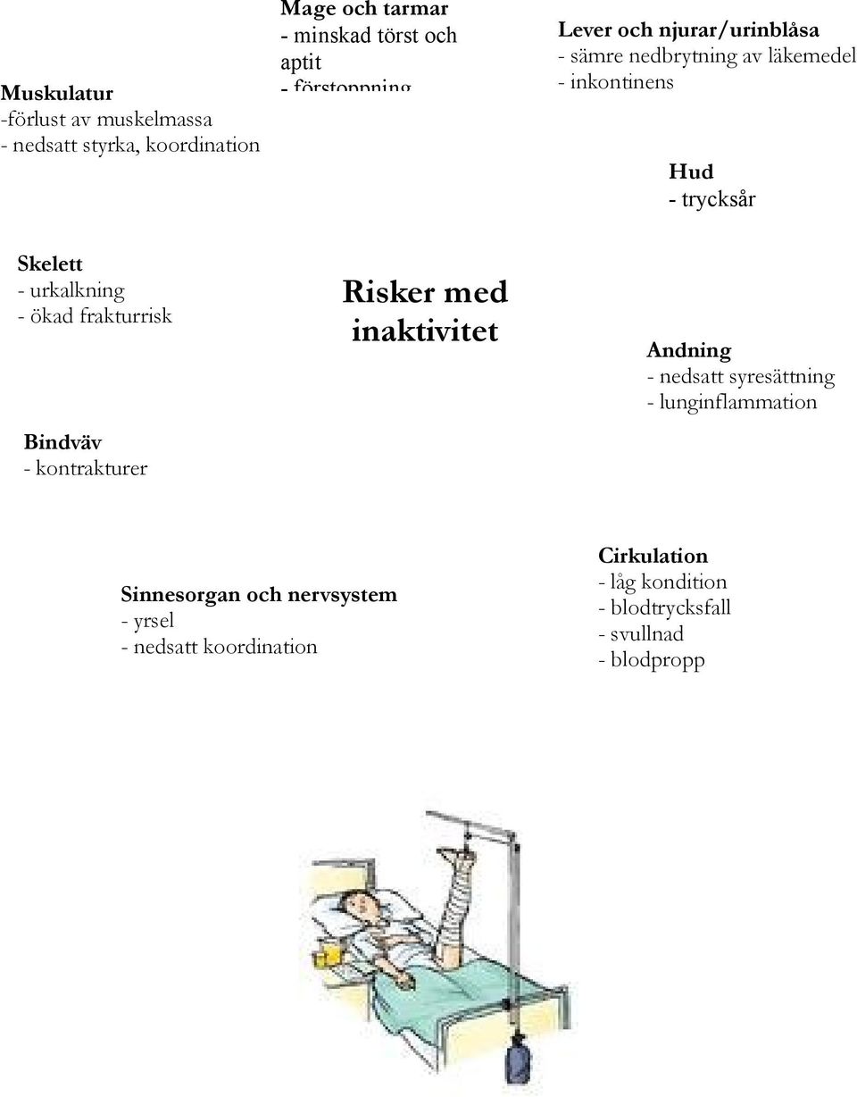 urkalkning - ökad frakturrisk Bindväv - kontrakturer Risker med inaktivitet Andning - nedsatt syresättning -