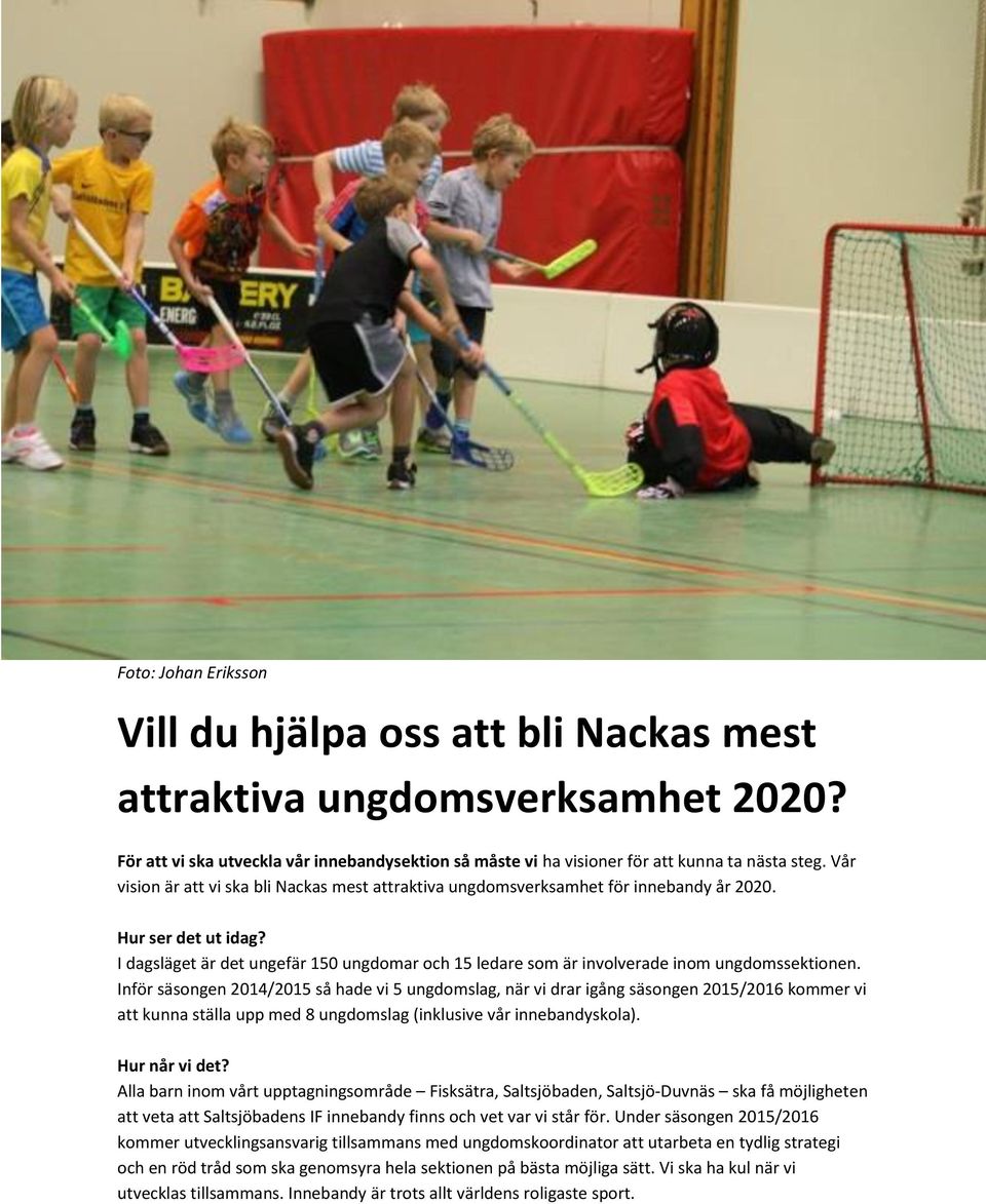 I dagsläget är det ungefär 150 ungdomar och 15 ledare som är involverade inom ungdomssektionen.