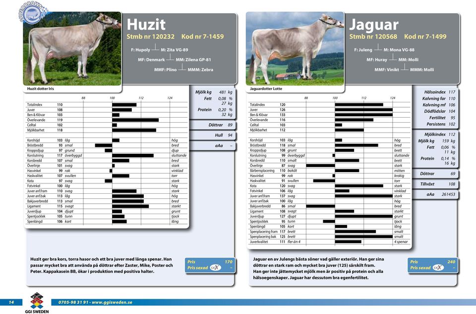 bak Bakjuverd Ligament Spentjocklek svullen t tunn 88 vinklad torr t tjock Fett Protein Döttrar 481 kg 0,08 % 27 kg 0,20 % 32 kg Hull 89 Jaguardotter Lotte Totalindex & Klövar Överlevande Bröstd