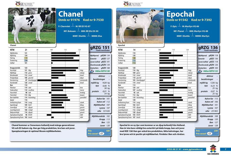 Han ger produktion, ben och juver. Spenplaceringen är optimal liksom mjölkbarheten. nt t grzg 151 Mjölkprod. grzm 134 Exteriör grze /celltal grzs Överlevande grzn 134 Dotterfert.