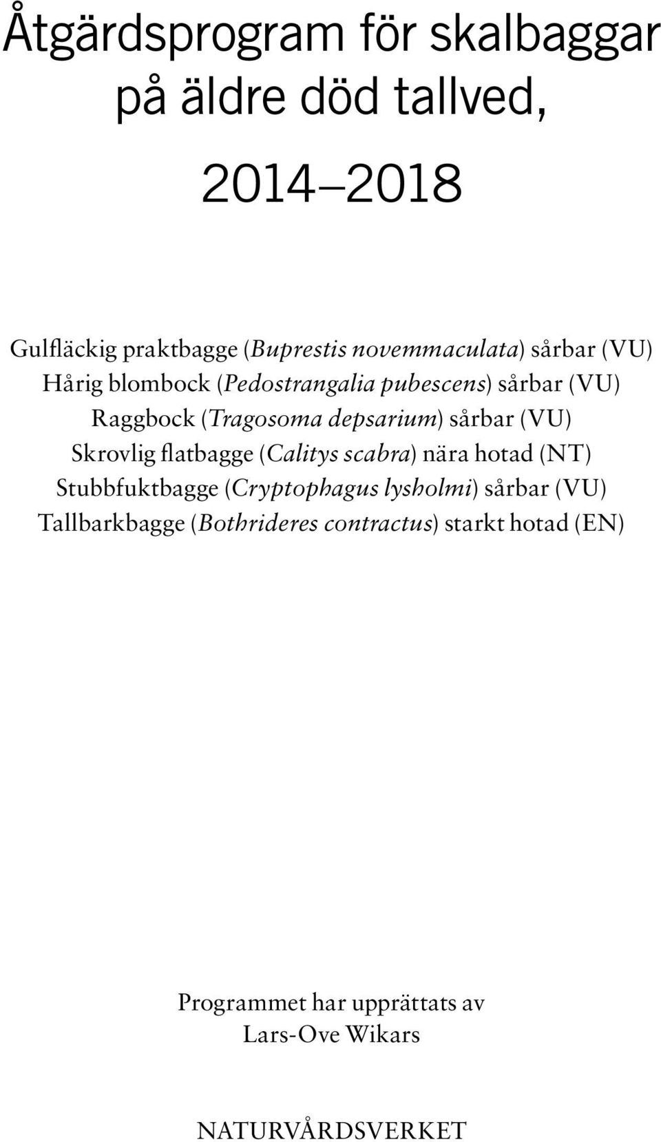 Skrovlig flatbagge (Calitys scabra) nära hotad (NT) Stubbfuktbagge (Cryptophagus lysholmi) sårbar (VU)