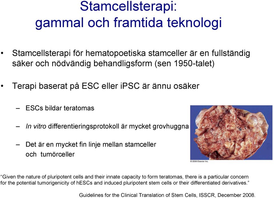 stamceller och tumörceller Given the nature of pluripotent cells and their innate capacity to form teratomas, there is a particular concern for the potential