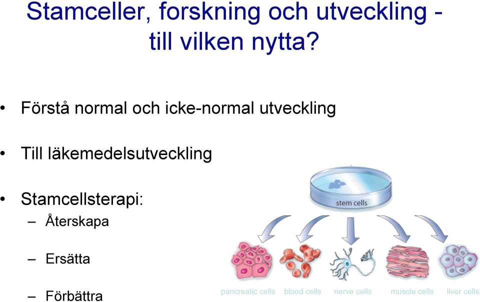 läkemedelsutveckling Stamcellsterapi: Återskapa Ersätta