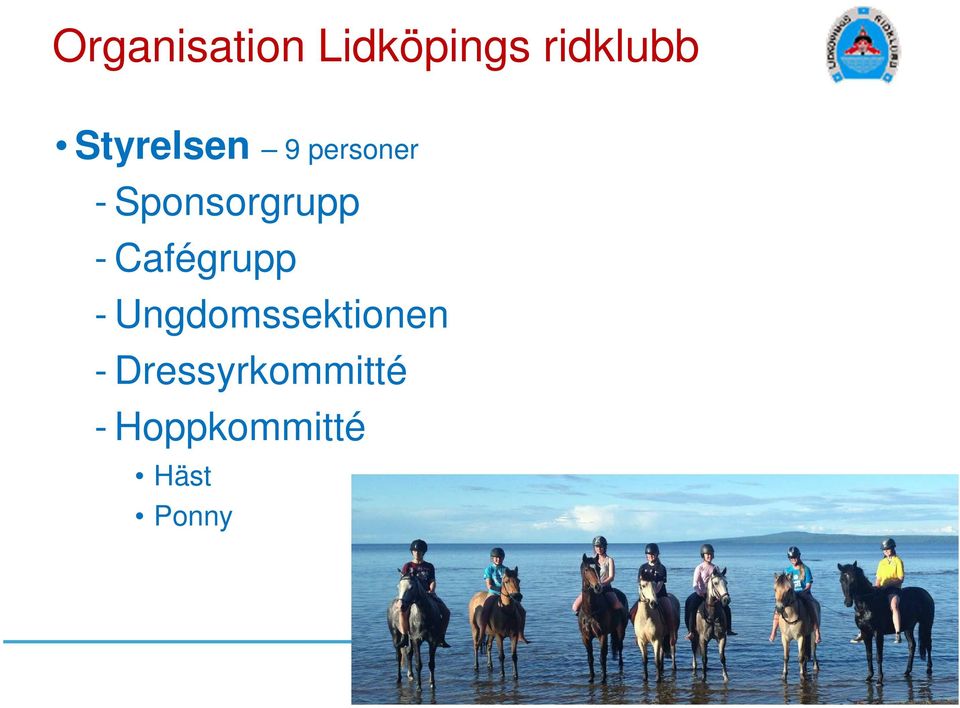 - Cafégrupp - Ungdomssektionen -