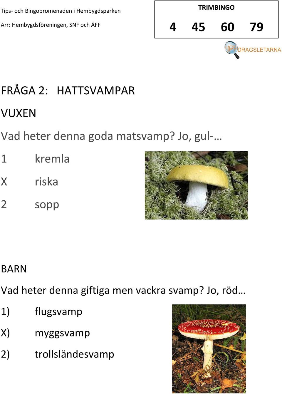 Jo, gul- 1 kremla riska 2 sopp Vad heter denna