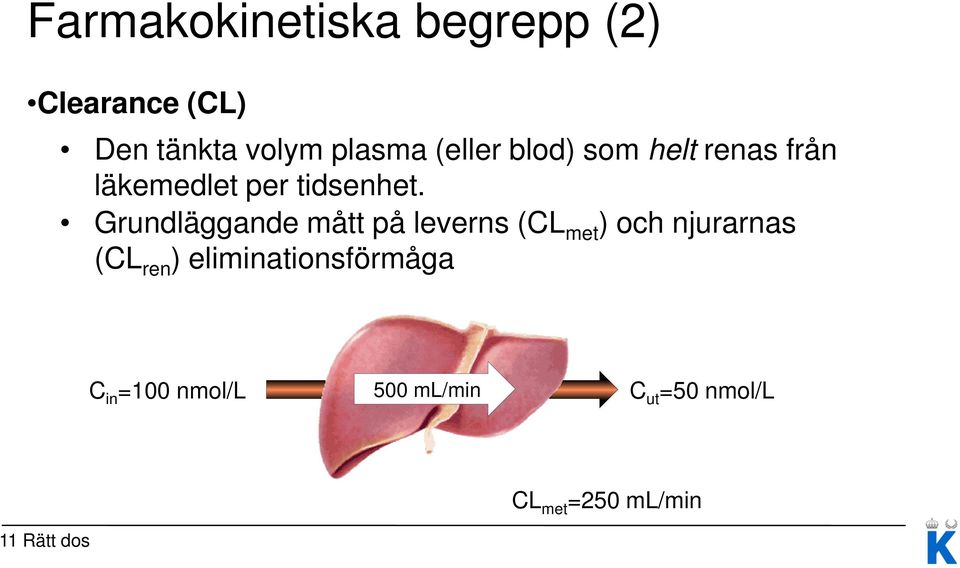 Grundläggande mått på leverns (CL met ) och njurarnas (CL ren )