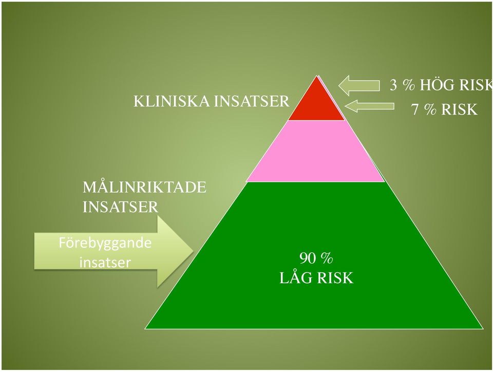 MÅLINRIKTADE INSATSER