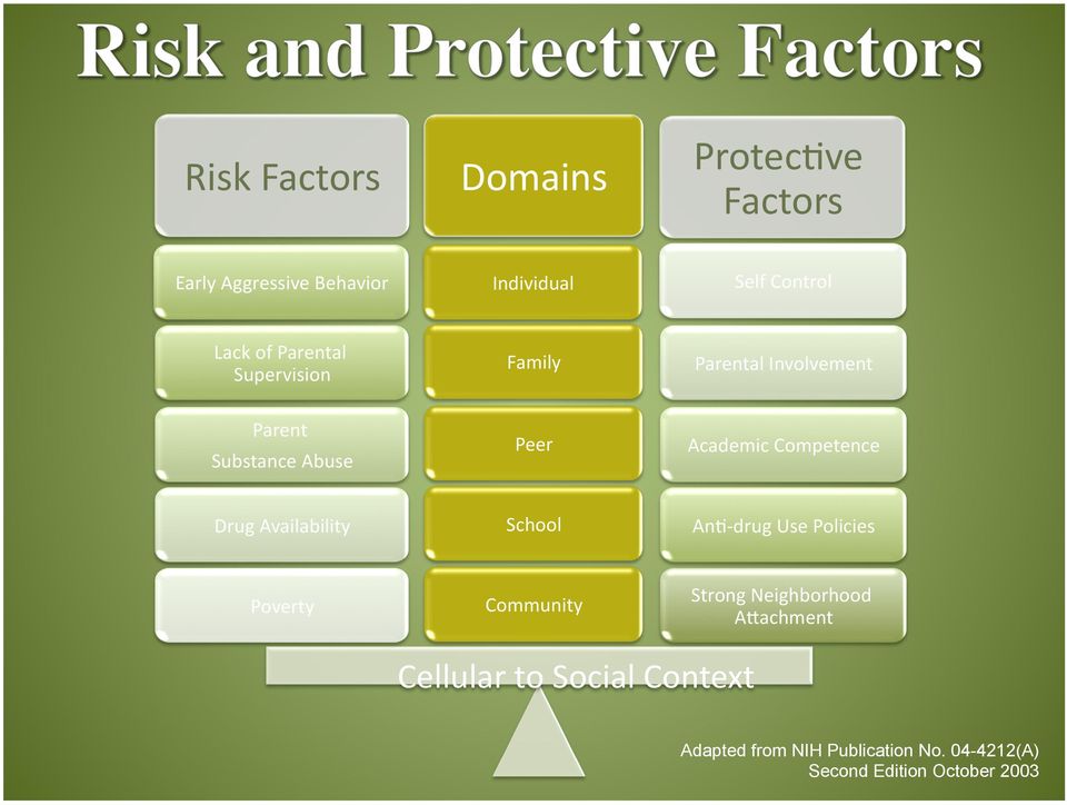 Drug Availability School An4 drug Use Policies Poverty Community Strong Neighborhood A>achment