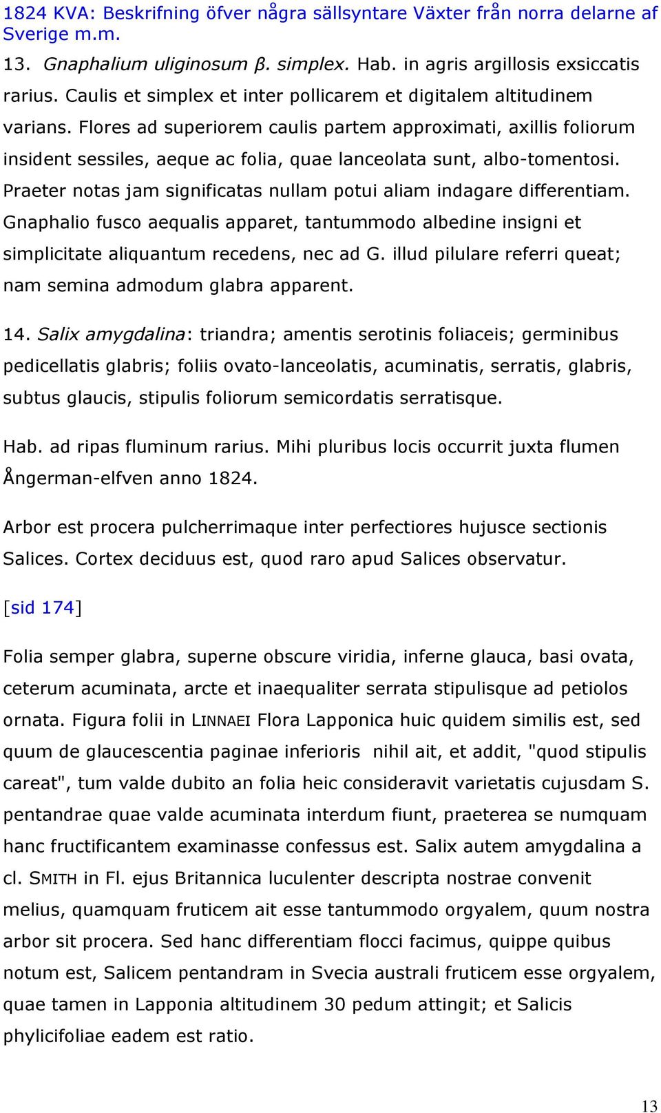 Praeter notas jam significatas nullam potui aliam indagare differentiam. Gnaphalio fusco aequalis apparet, tantummodo albedine insigni et simplicitate aliquantum recedens, nec ad G.