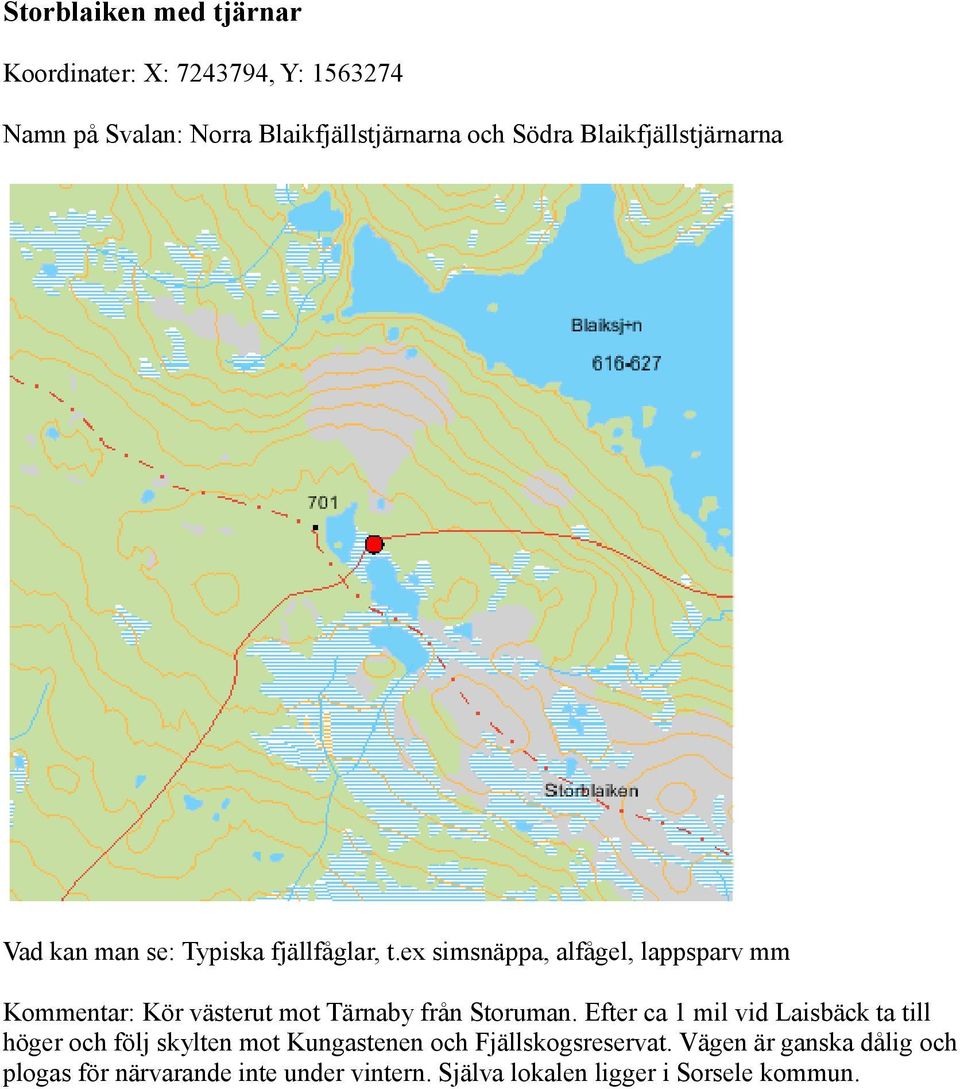 ex simsnäppa, alfågel, lappsparv mm Kommentar: Kör västerut mot Tärnaby från Storuman.