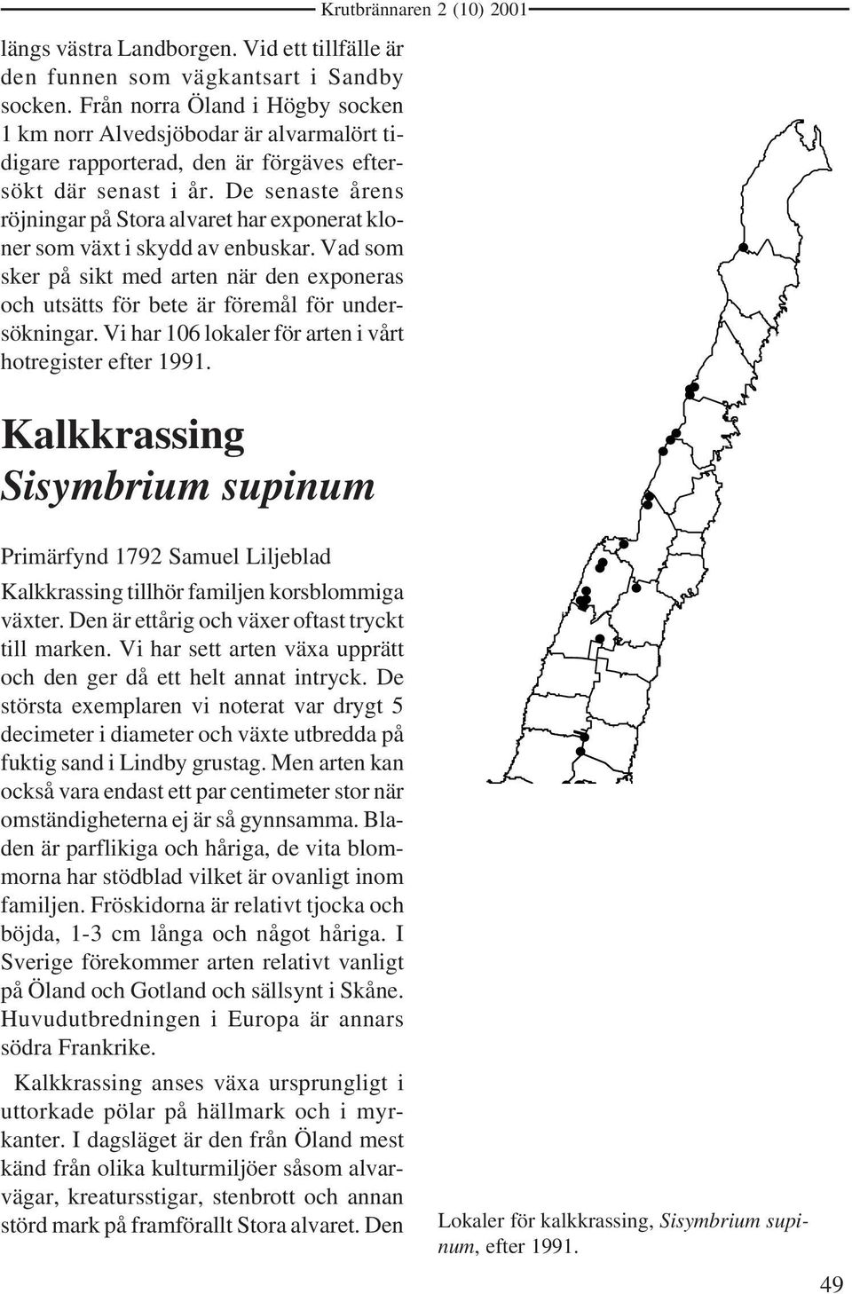 De senaste årens röjningar på Stora alvaret har exponerat kloner som växt i skydd av enbuskar. Vad som sker på sikt med arten när den exponeras och utsätts för bete är föremål för undersökningar.