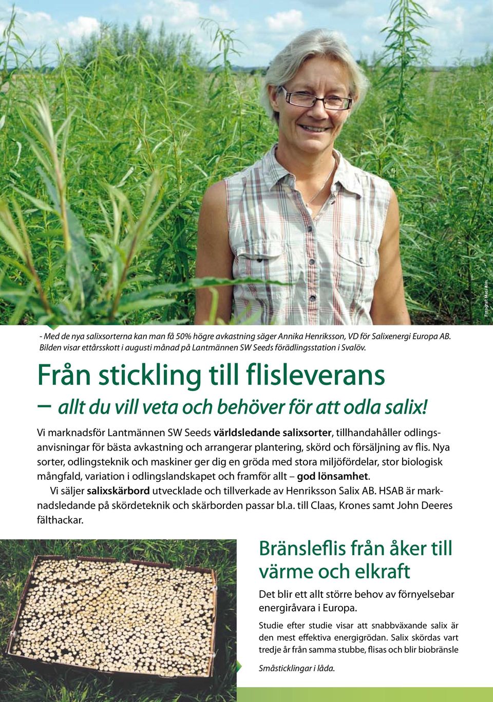 Vi marknadsför Lantmännen SW Seeds världsledande salixsorter, tillhandahåller odlingsanvisningar för bästa avkastning och arrangerar plantering, skörd och försäljning av flis.