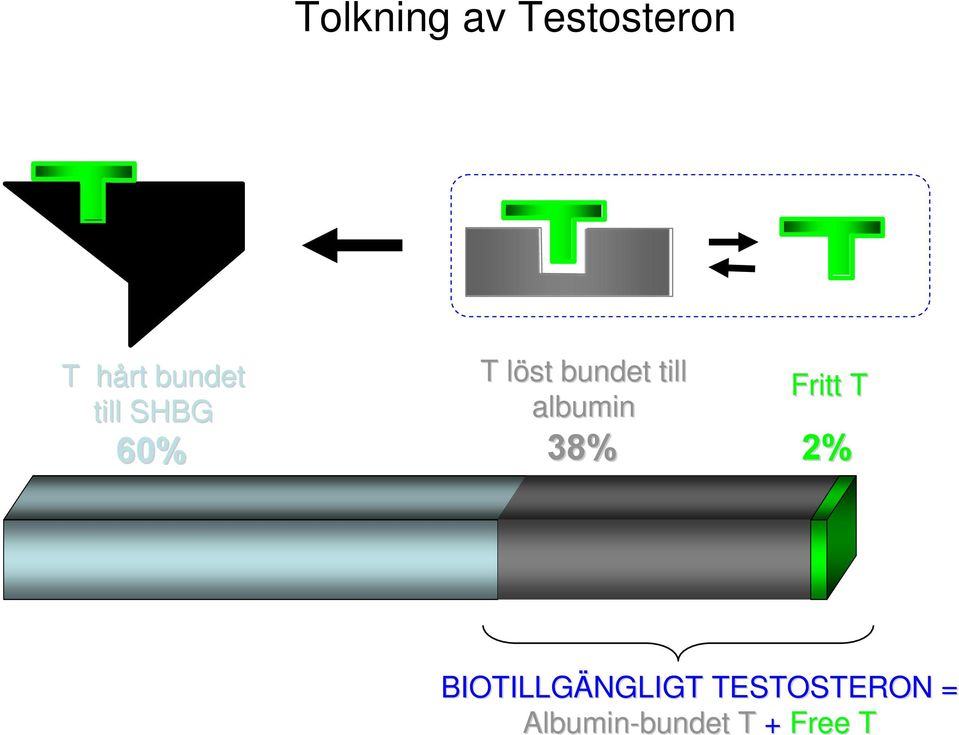 bundet till albumin 38% Fritt T 2%