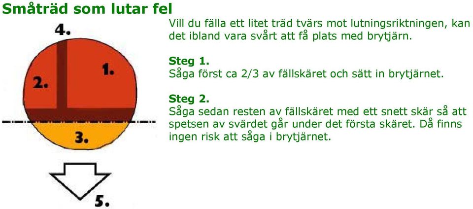 Såga först ca 2/3 av fällskäret och sätt in brytjärnet. Steg 2.