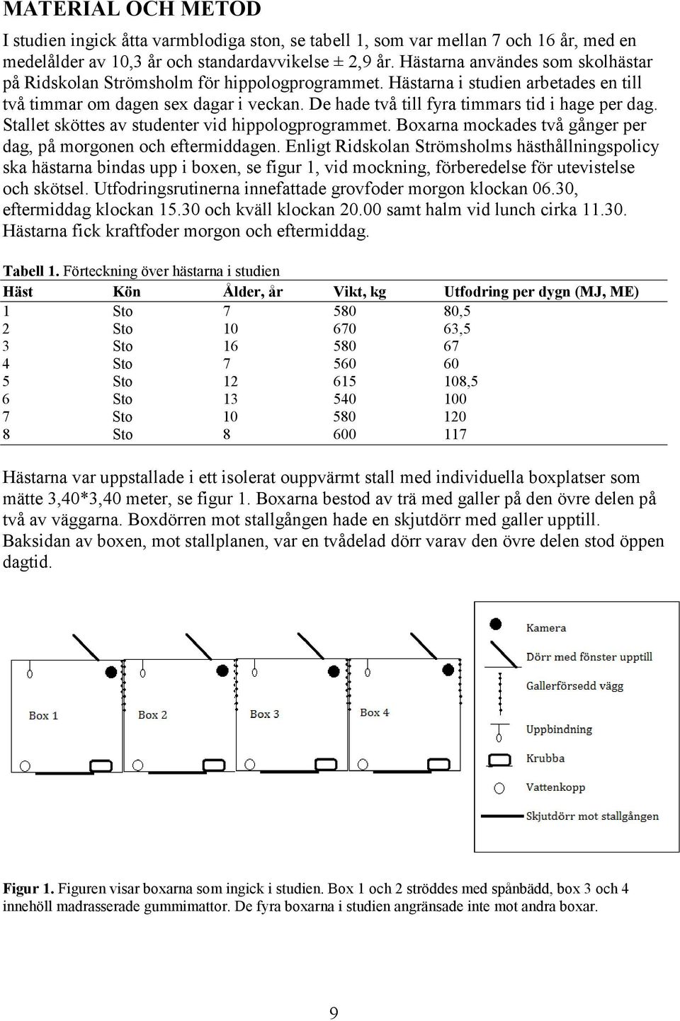 De hade två till fyra timmars tid i hage per dag. Stallet sköttes av studenter vid hippologprogrammet. Boxarna mockades två gånger per dag, på morgonen och eftermiddagen.