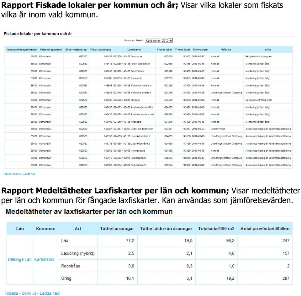 Rapport Medeltätheter Laxfiskarter per län och kommun; Visar