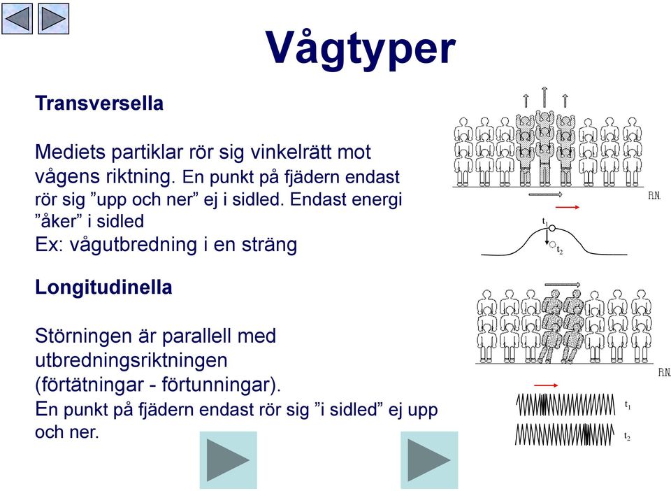 Endast energi åker i sidled Ex: vågutbredning i en sträng Longitudinella t 1 t 2 Störningen