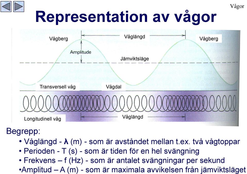 två vågtoppar Perioden - T (s) - som är tiden för en hel svängning Frekvens f (Hz) - som